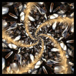 Pouce_pied - goose barnacles
